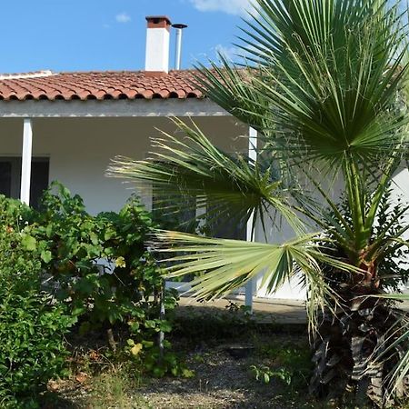 Litochoro Apartment In Estate A1 מראה חיצוני תמונה