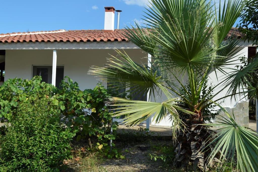 Litochoro Apartment In Estate A1 מראה חיצוני תמונה