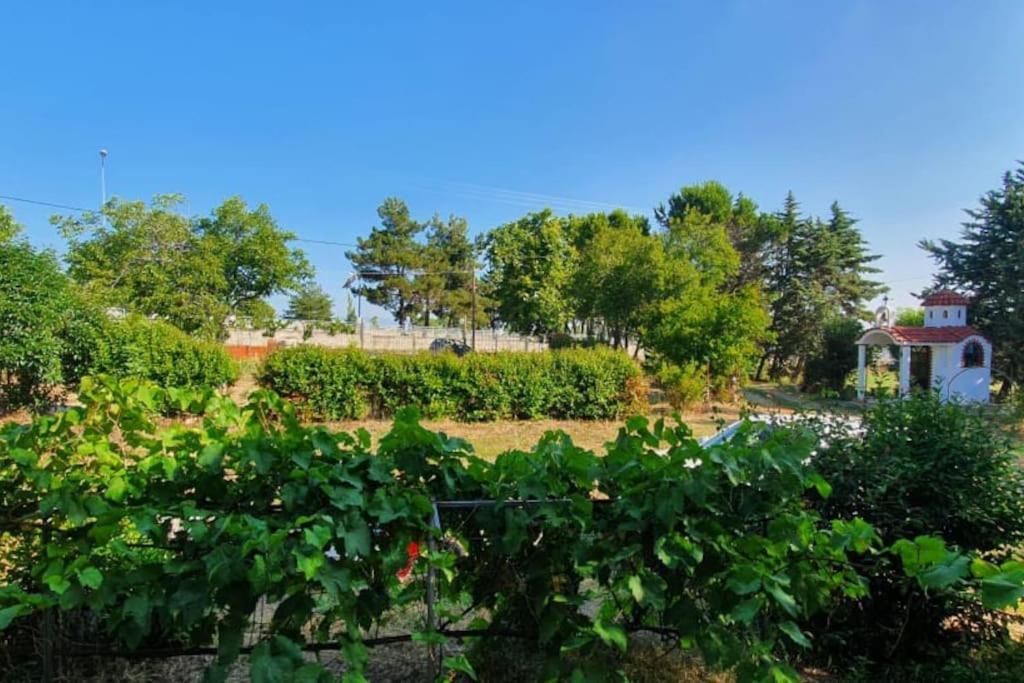 Litochoro Apartment In Estate A1 מראה חיצוני תמונה